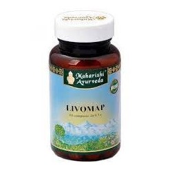 Map Italia Livomap 60...