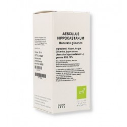 Oti Aesculus Hippocastanum...