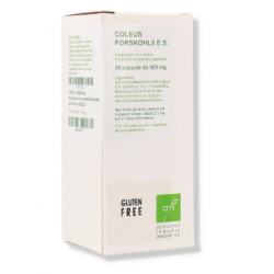 Oti Coleus Forskohlii...