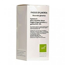 FAGUS SYLVATICA MG GTT 100ML
