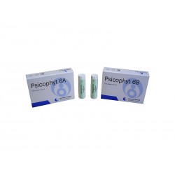 Biogroup Societa' Benefit Psicophyt Remedy 6b 4 Tubi 1,2 G