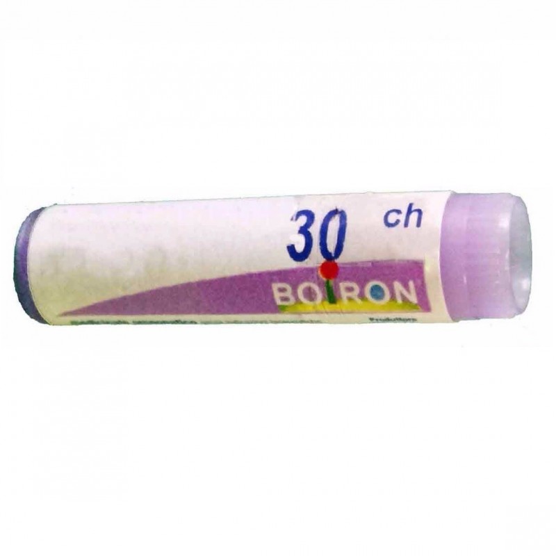 Boiron Sulfur Boi 30ch Gl 1g