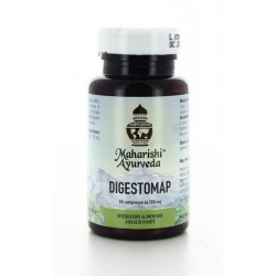 Map Italia Digestomap 60...