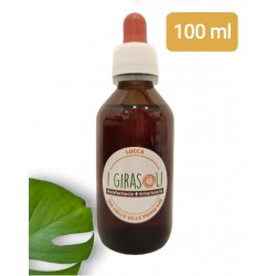 Ginkgo Biloba tintura madre in flacone di vetro da 100 ml con tappo contagocce