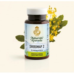 Map Italia Shiromap 2 60...