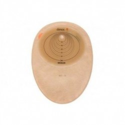 Hollister Placca Per...