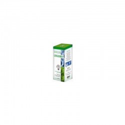 A. V. D. Reform Lineadren...