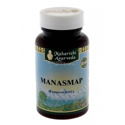 Map Italia Manasmap 60...