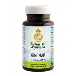 Map Italia Ginomap 60...