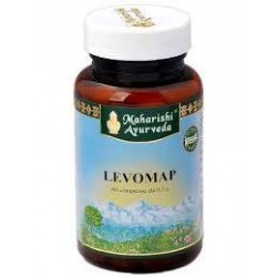 Map Italia Levomap 60...