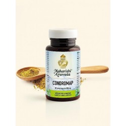 Map Italia Condromap 60...