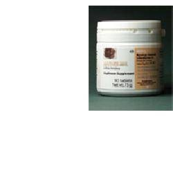 Aneid Italia Maitake...