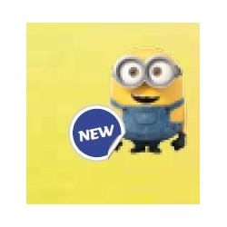 Intelex Group Warmies...