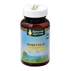 Map Italia Morfemap 60...