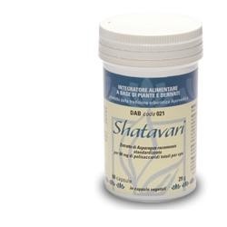 Concessionaria Italia...