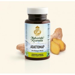 Map Italia Adattomap 60...