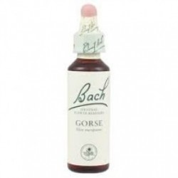 Schwabe Pharma Italia Gorse...