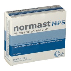 Epitech Group Normast Mps...