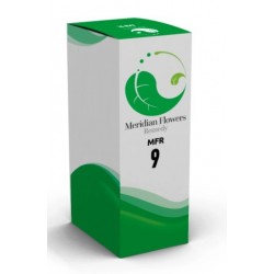 Sitar Italia Mfr 9 Meridian...