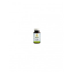 Map Italia Colomap 240...