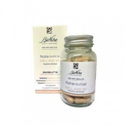 I. C. I. M. Internation...