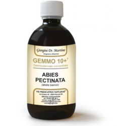 Dr. Giorgini Ser-vis Gemmo...