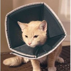 Candioli Ist. Profil. E...