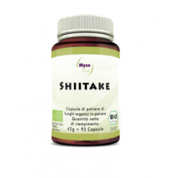 Hifas Da Terra Italia...