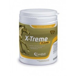 Candioli Ist. Profil. E...