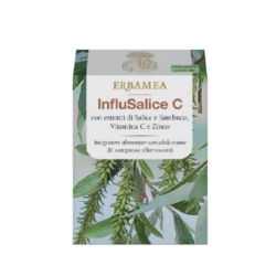 Erbamea Influsalice C 20...