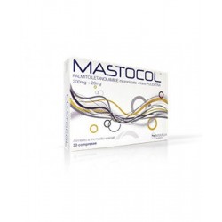 Epitech Group Mastocol...