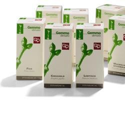 Fitomedical Agnocasto 50 Ml...