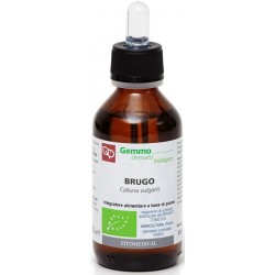 Fitomedical Brugo Macerato...