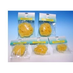 Anfatis Centro Natura Pura...