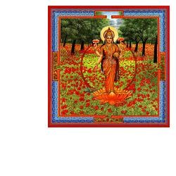 Aurum Neesha-ma Gocce 30 Ml