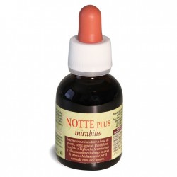 A. V. D. Reform Notte Plus...