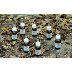 Alchemica Valgelata Ka2...