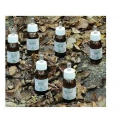 Alchemica Valgelata Ka...