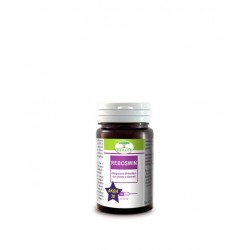 Renaco Italia R. I. Group...