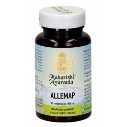 Map Italia Allemap 60...