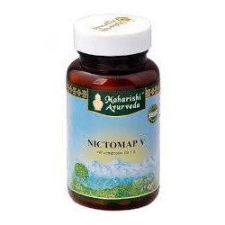 Map Italia Nictomap V 60...