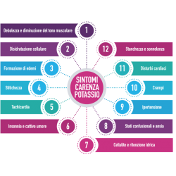 Aessere Potassio Colloidale Plus 1000ppm Spray 100 Ml