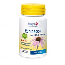 Longlife Echinacea 60...