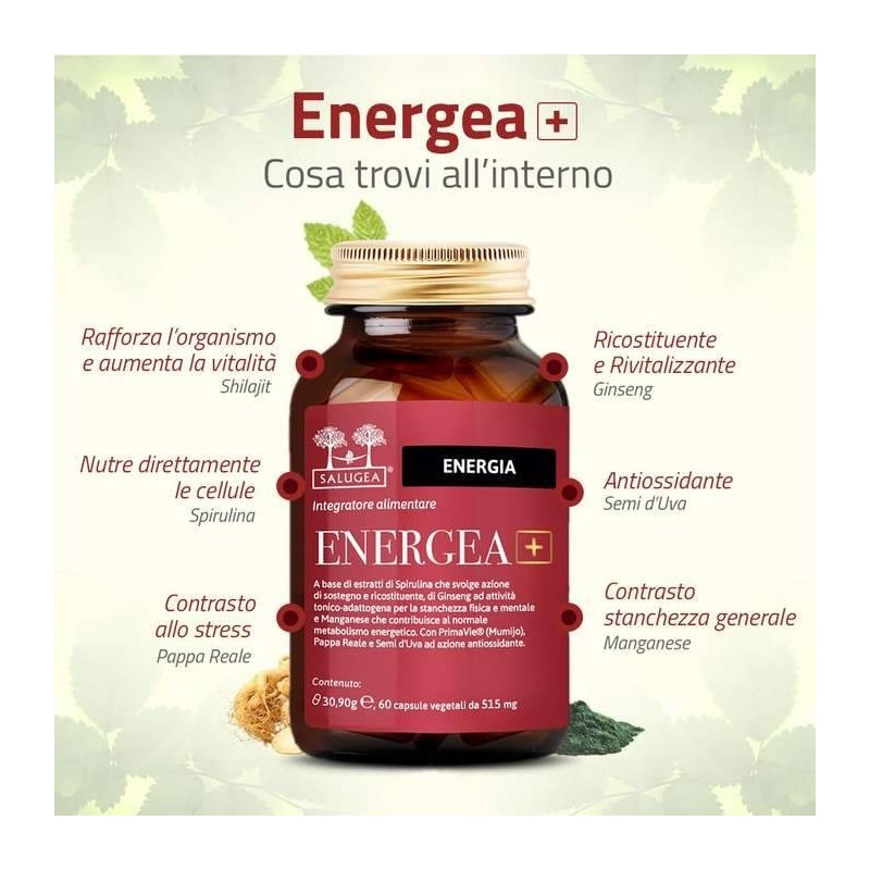 Salugea Energea+ 60 Capsule