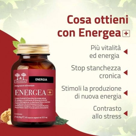 Salugea Energea+ 60 Capsule