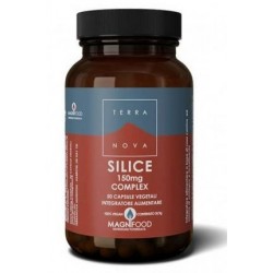 Forlive Terranova Silice...