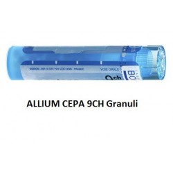 Boiron Allium Cepa Boi 9ch 80gr 4g