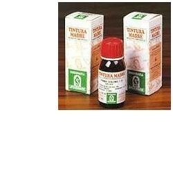 Specchiasol Erisimo 61 50ml Tm