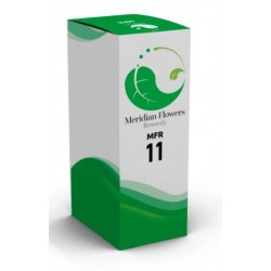 Sitar Italia Mfr 11...