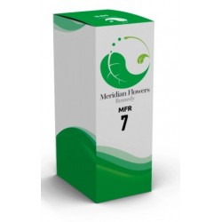 Sitar Italia Mfr 7 Meridian...